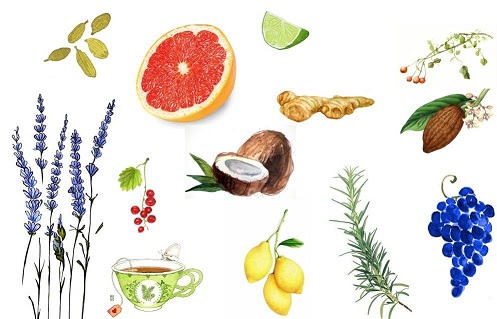 ingredientes cerveza