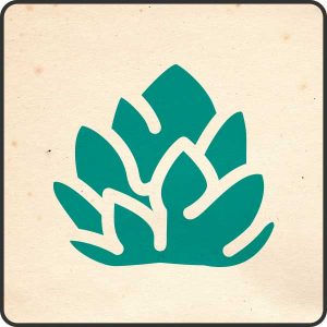 Lúpulo flor y pellet